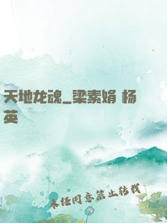 天地龙魂